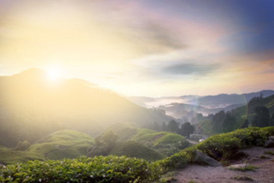 blurred nature image background of tea plantation at cameron highland, malaysia