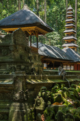 Fototapeta na wymiar Temple dans la jungle, Bali