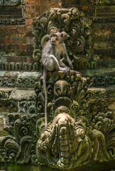 Temple dans la jungle, Bali