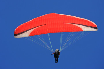 Paraglider