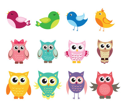 cute owl and birds set of vector illustration
