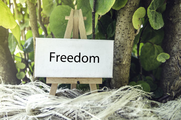 conceptual image, Freedom word on white canvas and wooden easel.Green nature background and sunlight effect