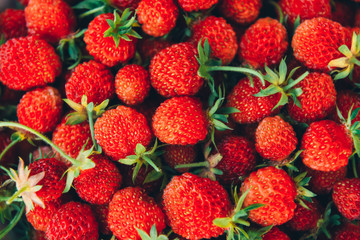 Strawberries background, strawberies on the market
