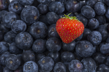 One strawberry is on many blueberries