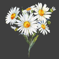 Watercolor daisy bouquet