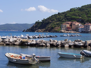Fototapeta na wymiar Landscape of Elba Island Tuscany Italy