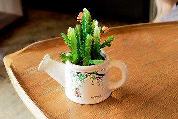 Plastic cactus on table