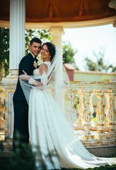 Beautiful couple, bride and groom posing (embracing) near white column. The circular pavilion with columns