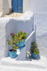 Greece street view with white and blue colors and blue flower pots with plant