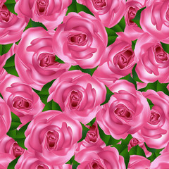 Pink rose seamless pattern, seamless texture