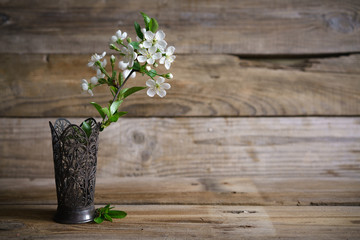 still life with spring blossoms in vase