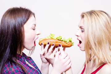 portrait 2 hungry young beautiful women girlfriends having fun eating together one hotdog on light copy space background
