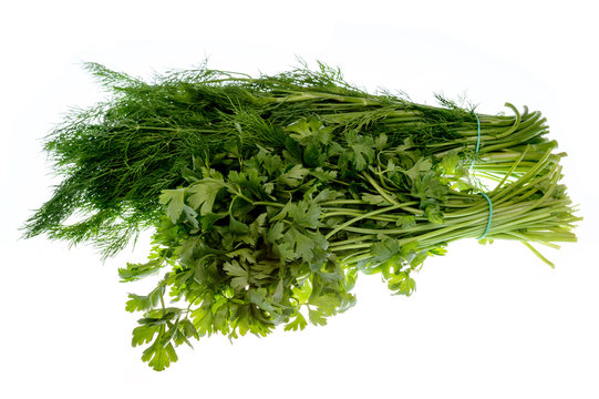 Dill and parsley beams isolated on white background.