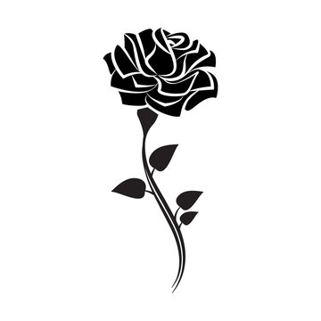 Black silhouette of rose with leaves. Tattoo style rose. Vector