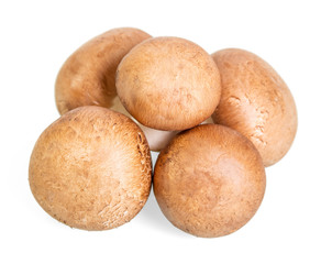 Brown champignons mushrooms close-up isolated on white.