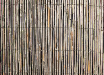 Reed Texture Close Up