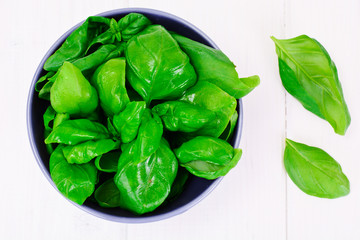 Basil on White Woody Background