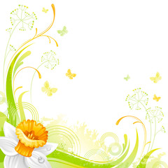 Floral summer background with daffodil flower, leafs, grass and grunge elements, copy space for your text
