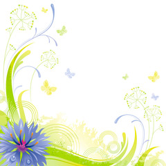 Fototapeta na wymiar Floral summer background with blue cornflower flower, leafs, grass and grunge elements, copy space for your text