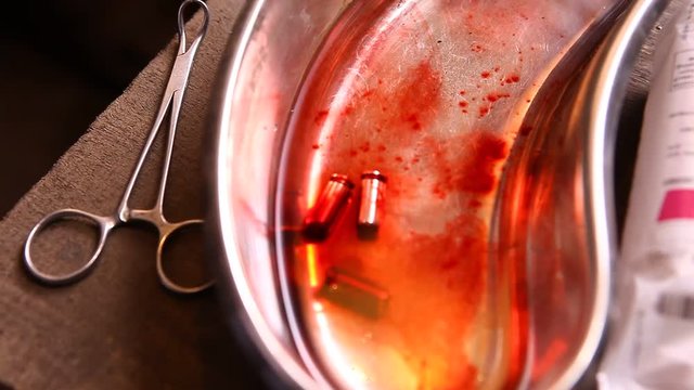 Bullet with Blood