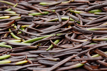 Vanilla dry fruit (vanilla bean, pod)  in the curing ferments process for grading vanilla flavor.