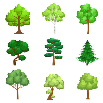 Realistic Trees Set