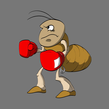 Colorful vector illustration of angry cartoon ant boxer.