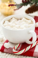 Hot chocolate with marshmallow