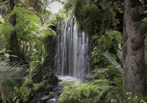 Waterfall On Madeira Island