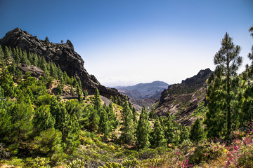 Panoramic view from  Pico de las Nieves at Gran Canaria , Spain.