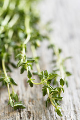 Fresh thyme