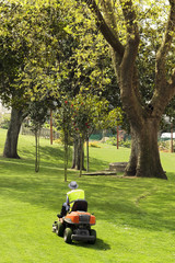  utility worker of municipality  with  lawn  mower , riding  mower,  in city park
