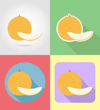 melon fruits flat set icons with the shadow vector illustration