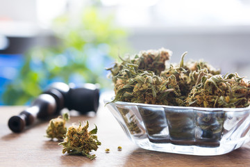 Marijuana buds in the glass plate