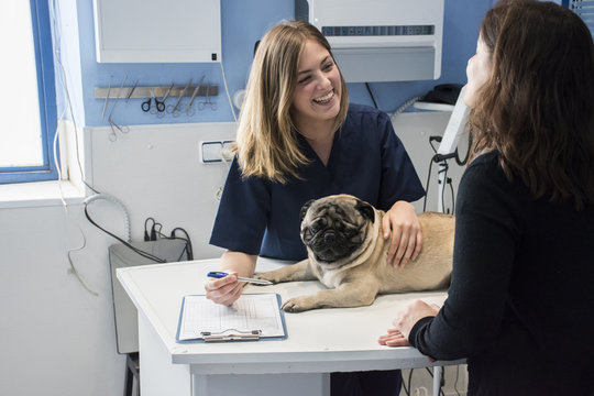 Veterinarian talking with owner of a dog in a veterinary clinic