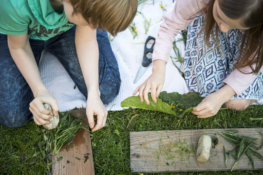 Brother and his little sister playing 'cooking' with herbs on a meadow