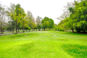 Obraz na płótnie Canvas green grass field in big city park