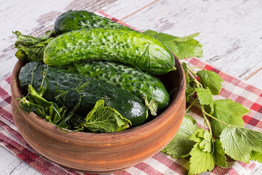  Freshly-salted cucumbers.   Freshly-salted cucumbers in a wooden bowl and currant leaves on a napkin on a light wooden background.