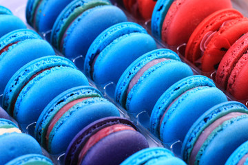 color macaroon background