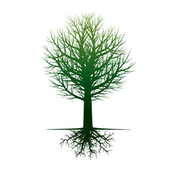Shape of Tree and Roots. Vector Illustration.