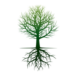 Shape of Tree and Roots. Vector Illustration.
