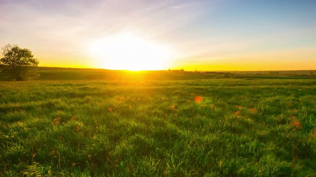 sunset and green field, panoramic time-lapse
