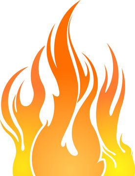 Vector colorful fire isolated on a white.