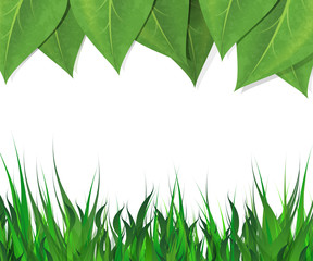 Fototapeta premium Horizontal background with green leaves and grass border and empty space for text. Vector EPS-10.