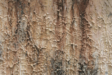 background, dirty wall