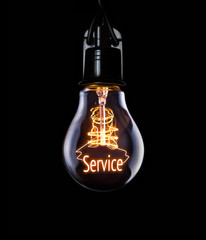 Lightbulb Service Concept