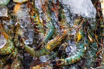 Fresh Shrimp heap with ice at supper market