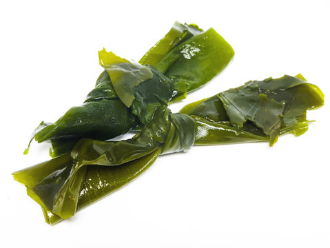 Kelp