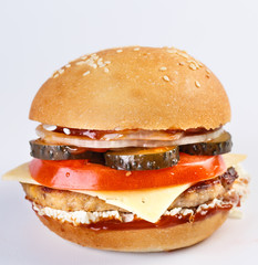 The perfect hamburger.