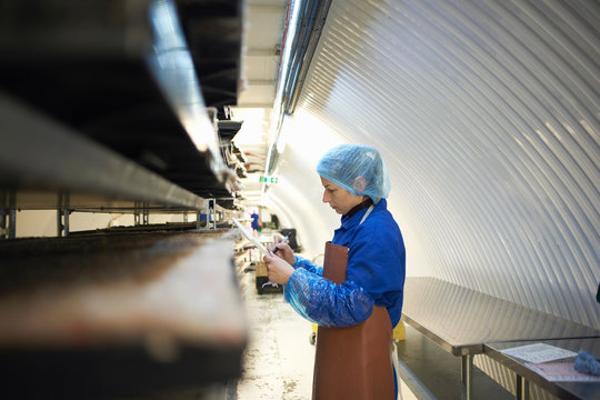 Female Worker Using Digital Tablet In Underground Tunnel Seed Tray Nursery, London, UK